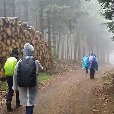Urlaubsdomizil Am Toepfer - Ferienwohnungen In Olbersdorf Екстериор снимка