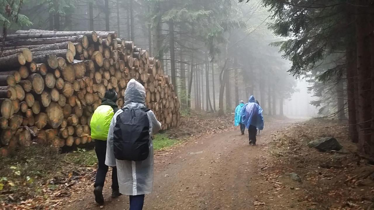 Urlaubsdomizil Am Toepfer - Ferienwohnungen In Olbersdorf Екстериор снимка