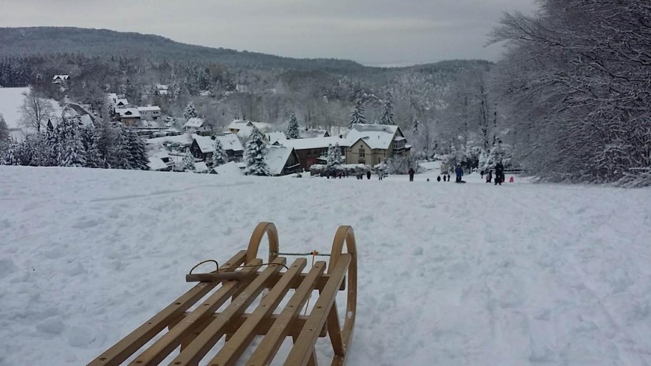 Urlaubsdomizil Am Toepfer - Ferienwohnungen In Olbersdorf Екстериор снимка
