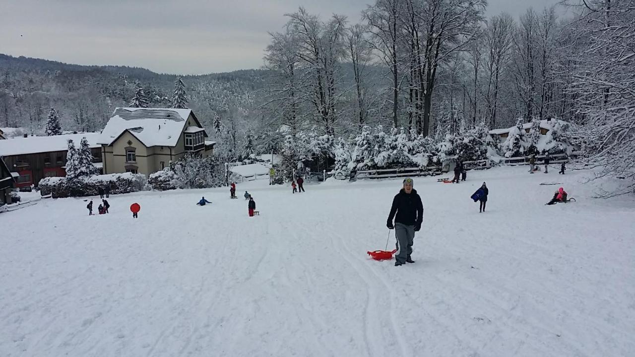 Urlaubsdomizil Am Toepfer - Ferienwohnungen In Olbersdorf Екстериор снимка