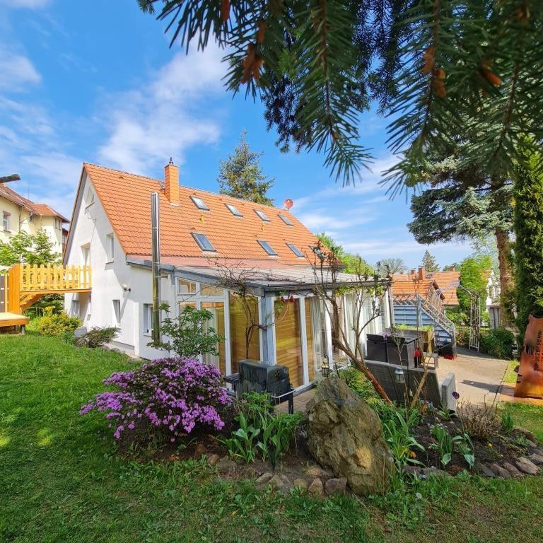 Urlaubsdomizil Am Toepfer - Ferienwohnungen In Olbersdorf Екстериор снимка